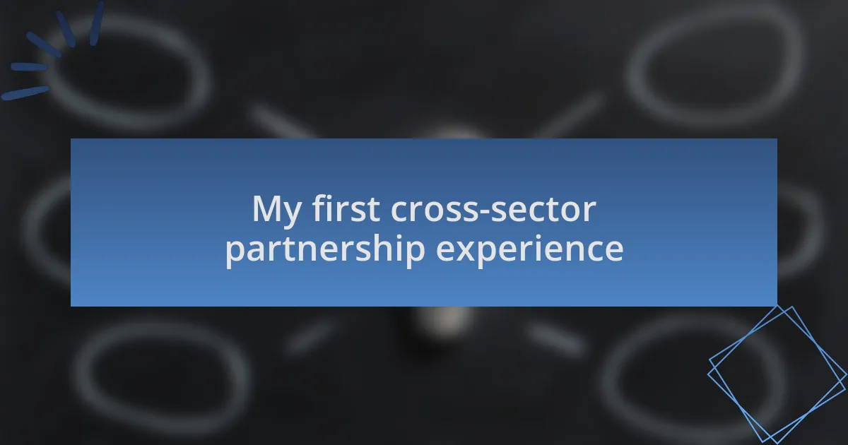 My first cross-sector partnership experience