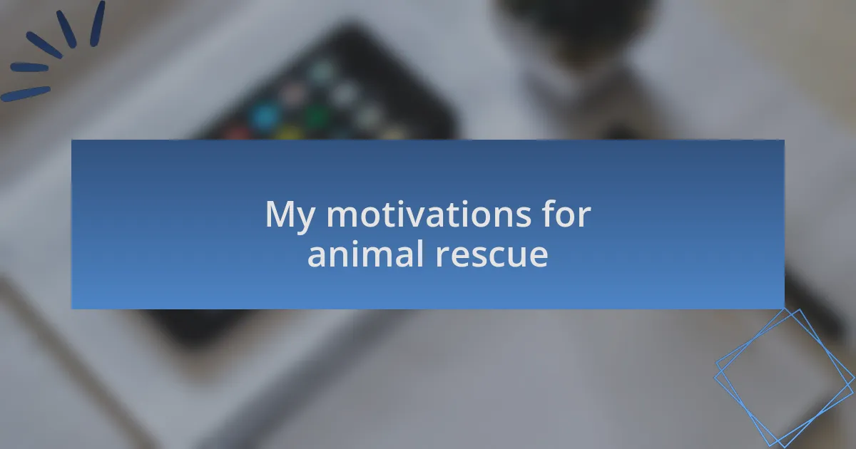 My motivations for animal rescue