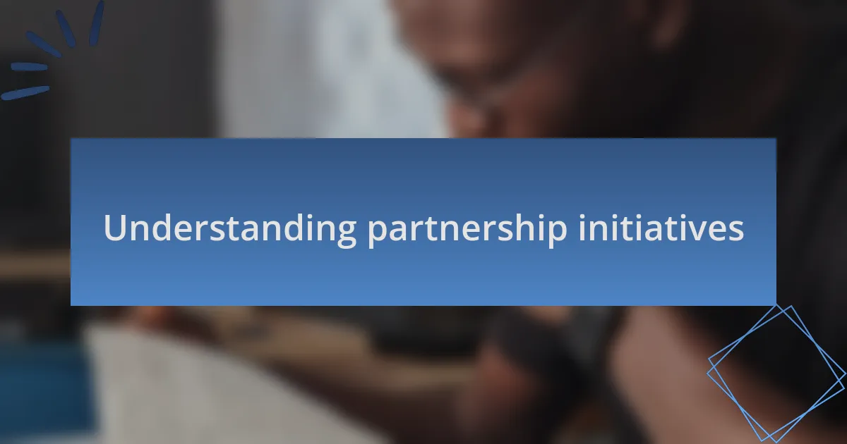 Understanding partnership initiatives